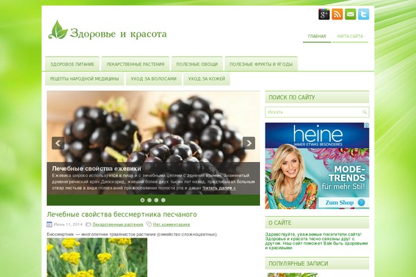 HealthMag theme websites examples