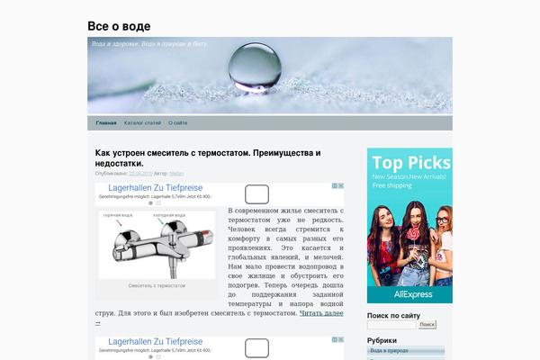 Silver Spot theme site design template sample