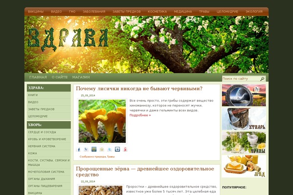 Natural Health theme site design template sample