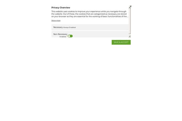 Site using Cws-svgicons plugin