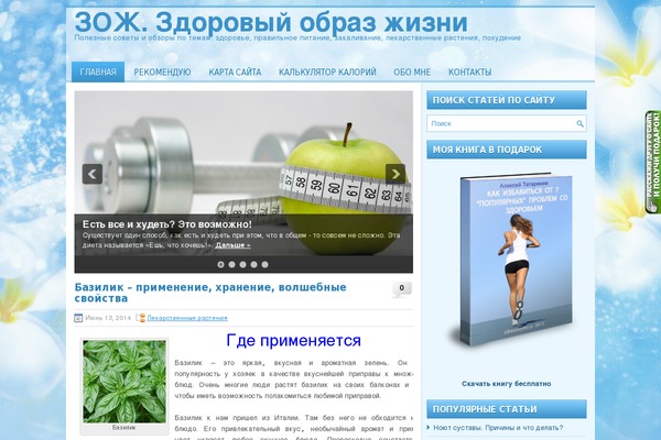 Root theme site design template sample