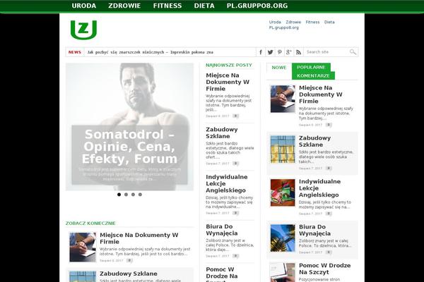 Max Mag theme site design template sample