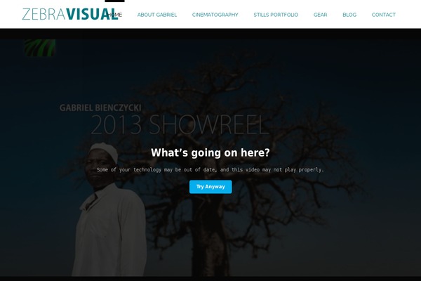 Stardust theme site design template sample