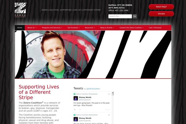 zebrayouth.org site used Zebra