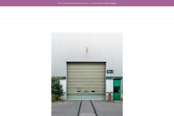 Kapee theme site design template sample