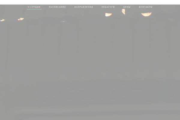 Vibez theme site design template sample