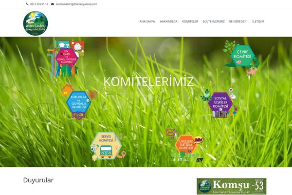 Site using Real3d-flipbook plugin