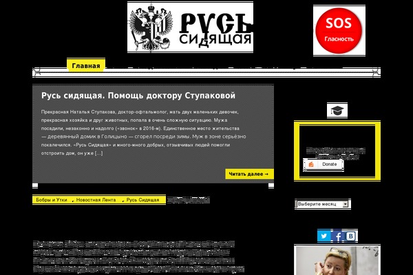 Everest News theme site design template sample