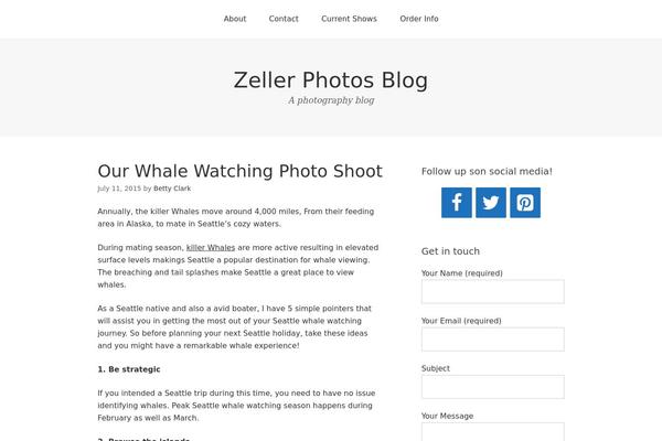 Omega theme site design template sample