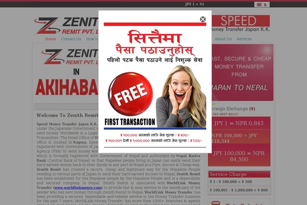Zenith theme site design template sample