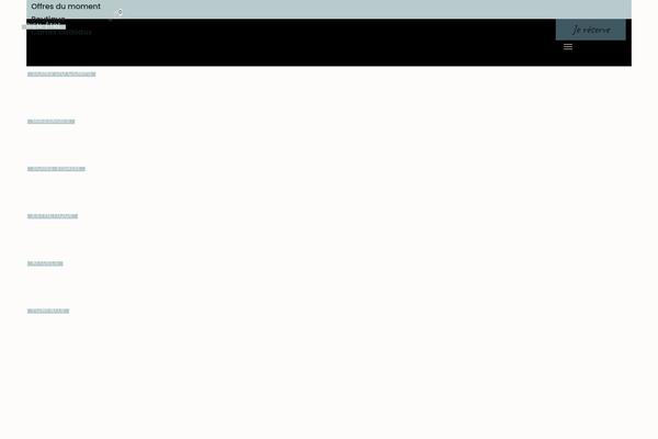 Reina theme site design template sample