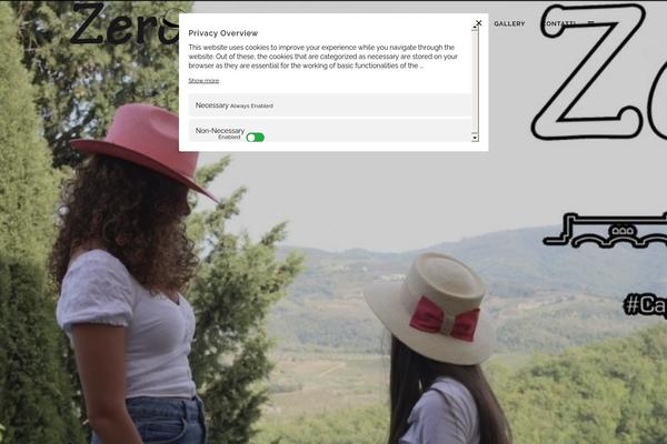 Site using Instagram Widget by WPZOOM plugin