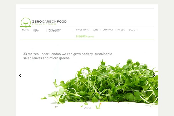 Evermore theme site design template sample