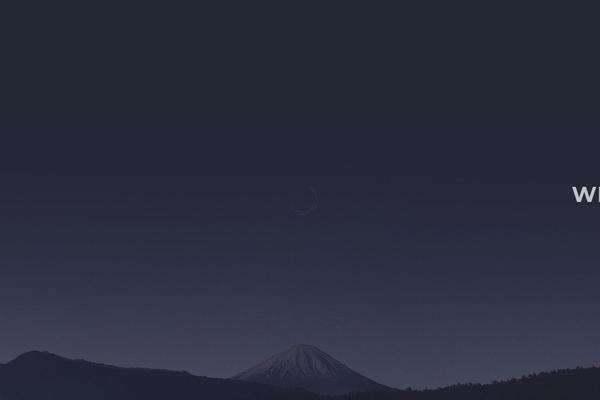 Site using Thegem-elements-elementor plugin