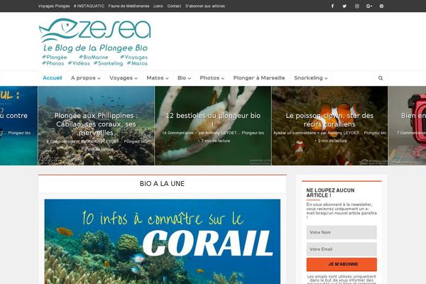 Site using Related Posts by Zemanta plugin