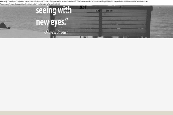 Vela theme site design template sample
