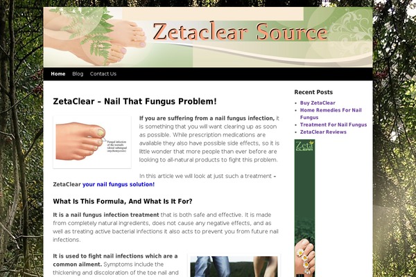 Weaver II pro theme site design template sample