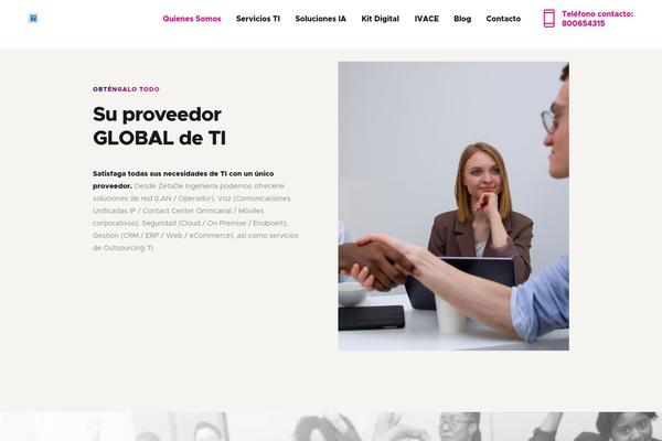 MaxiNet theme site design template sample