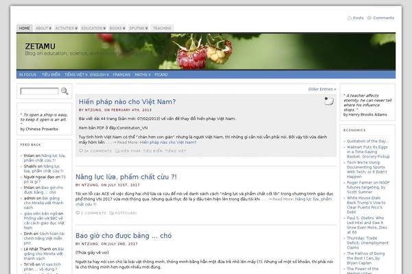 atahualpa-new theme websites examples