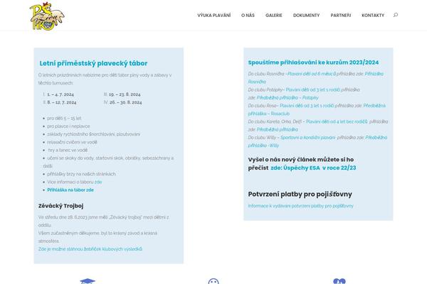 Composer theme site design template sample