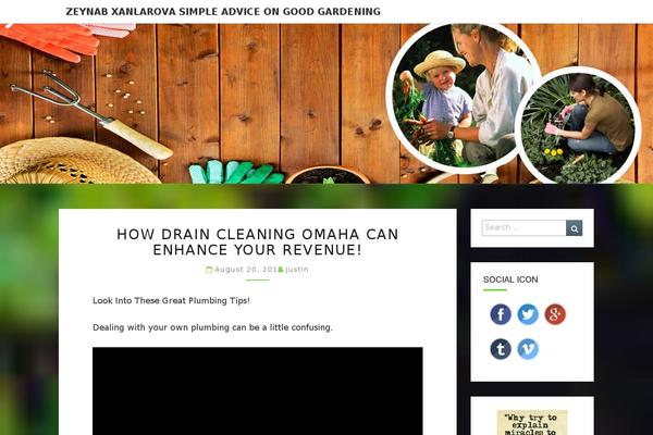 Site using Simple-social-icon-widget plugin