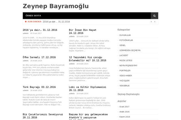 zeynepbayramoglu.com site used zeeReputation