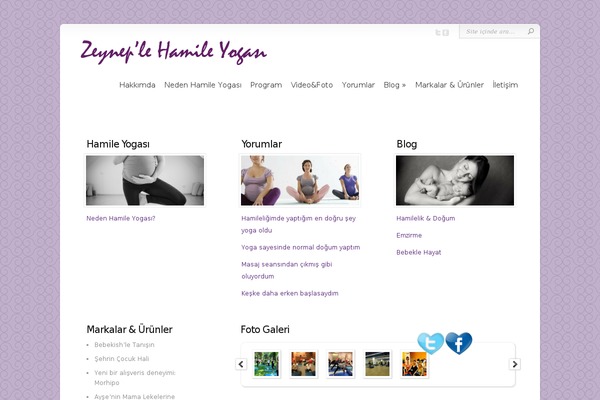 Chameleon theme site design template sample