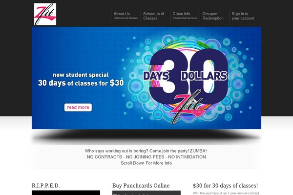 Display theme site design template sample