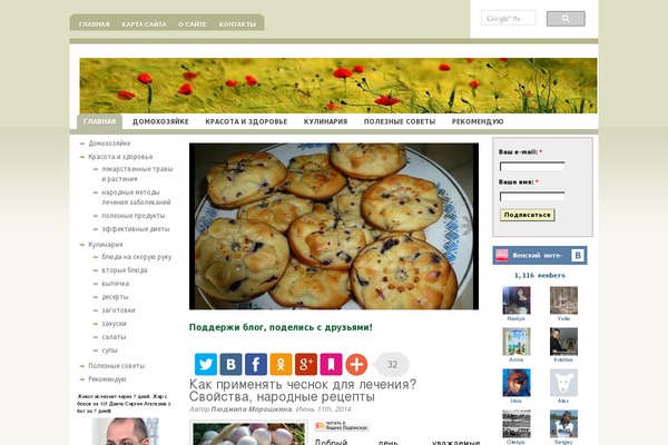 ColorMag theme site design template sample