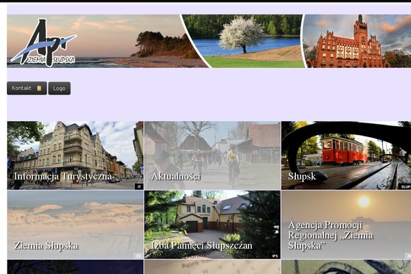 Reader theme site design template sample
