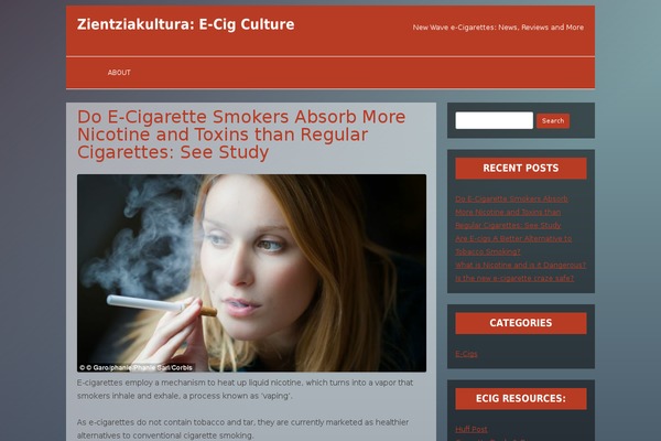 Trustnews theme site design template sample