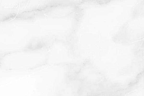 Amedeo theme site design template sample