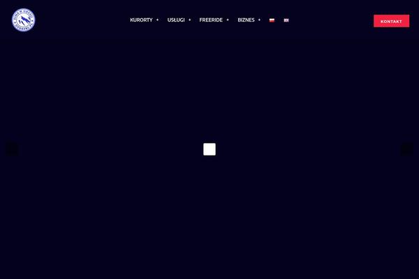 Snow-club theme site design template sample