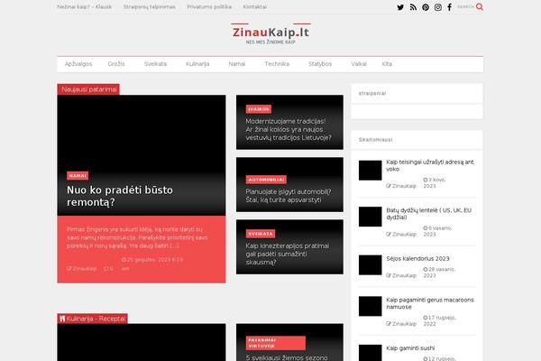 MagOne theme site design template sample