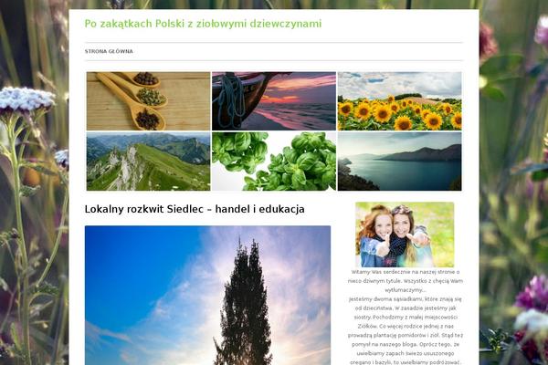 Tiny Framework theme site design template sample