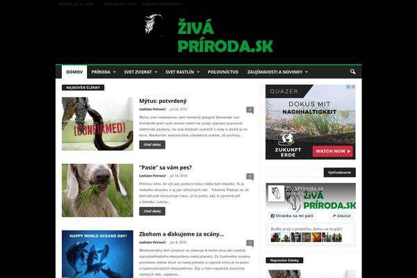 NewsMag theme site design template sample
