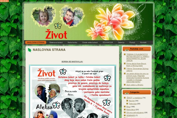 Site using Global Translator plugin