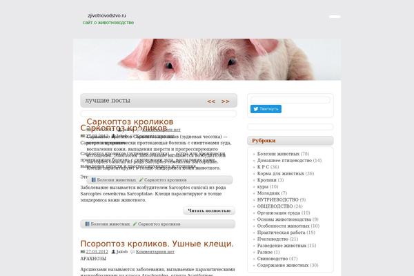 zeeDisplay theme site design template sample