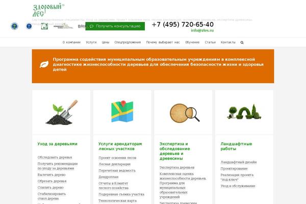 Avada Child theme site design template sample