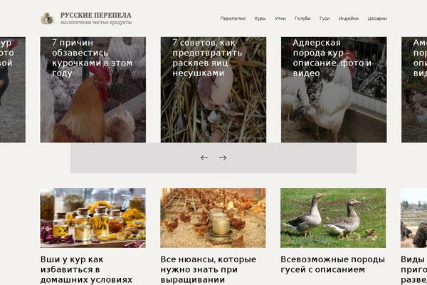 Johannes theme site design template sample