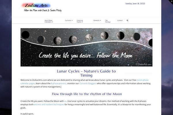 X Child theme site design template sample