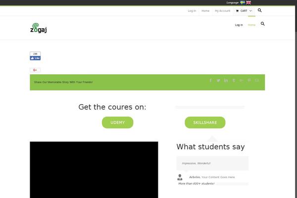 Site using Language Bar Flags plugin