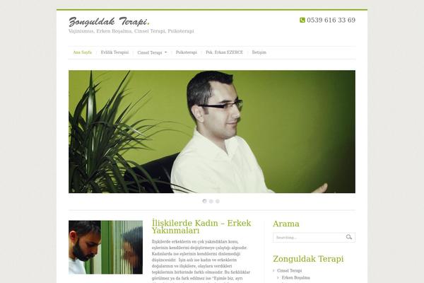 Cleanex theme site design template sample