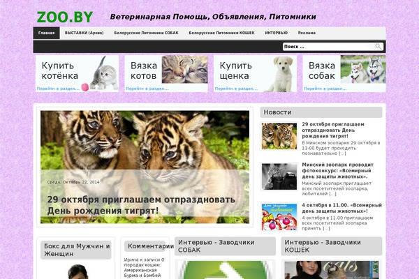 Antisnews theme site design template sample