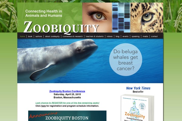 Site using Easy FancyBox plugin