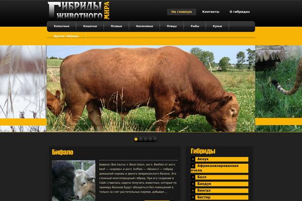 DueDate theme websites examples