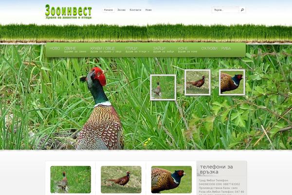 eStore theme site design template sample