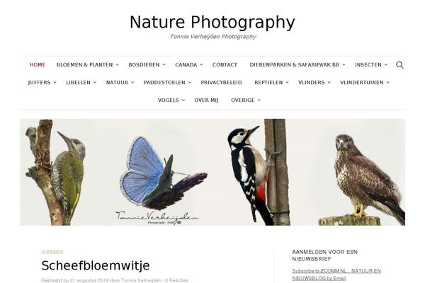 Site using Twenty Eleven Theme Extensions plugin