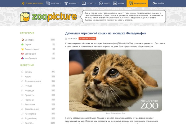 zoopicture.ru site used Kimbee