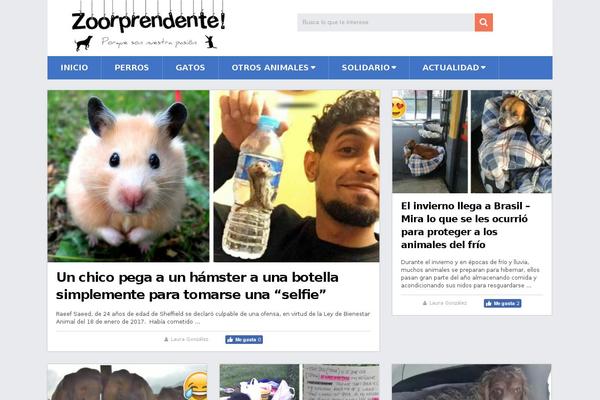 zoorprendente.com site used Mts_sociallyviral-child